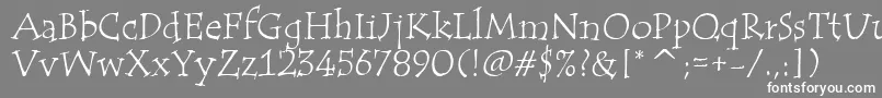 TempusItcTt-fontti – valkoiset fontit harmaalla taustalla
