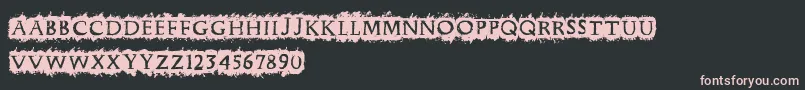 Cfpunkforever Font – Pink Fonts on Black Background