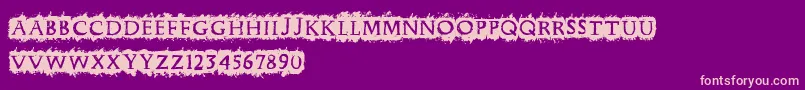 Cfpunkforever Font – Pink Fonts on Purple Background