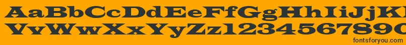 LatinwideNormala Font – Black Fonts on Orange Background