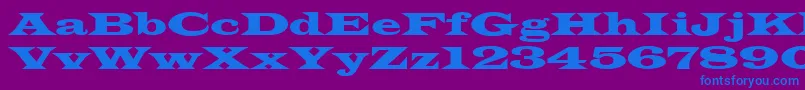 LatinwideNormala Font – Blue Fonts on Purple Background