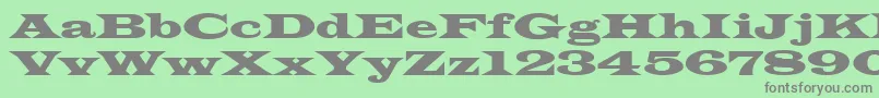 LatinwideNormala Font – Gray Fonts on Green Background