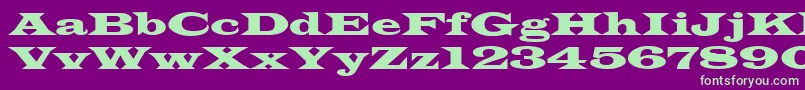 LatinwideNormala Font – Green Fonts on Purple Background