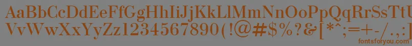 OlgaPlain Font – Brown Fonts on Gray Background
