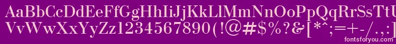 OlgaPlain Font – Pink Fonts on Purple Background