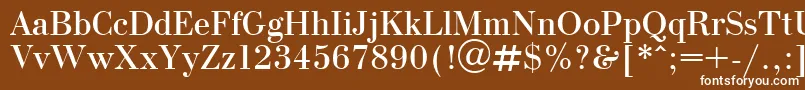 OlgaPlain Font – White Fonts on Brown Background