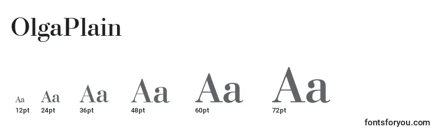 OlgaPlain Font Sizes