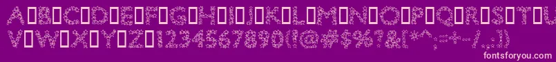 Bingostar Font – Pink Fonts on Purple Background