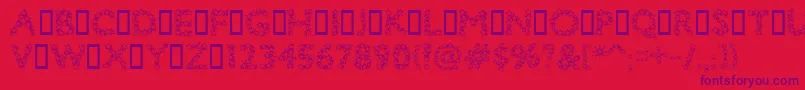 Bingostar Font – Purple Fonts on Red Background