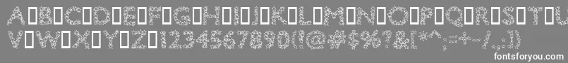 Bingostar Font – White Fonts on Gray Background