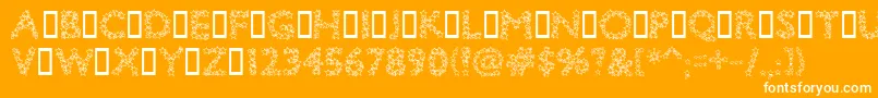 Bingostar Font – White Fonts on Orange Background