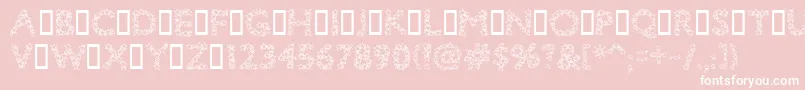 Bingostar Font – White Fonts on Pink Background
