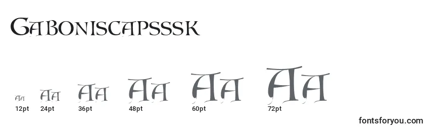 Размеры шрифта Gaboniscapsssk