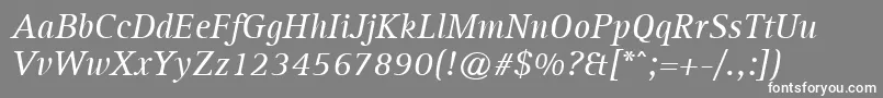 AgfarotisserifItalic Font – White Fonts on Gray Background