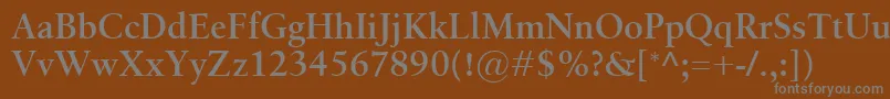 Czcionka BirkaSemibold – szare czcionki na brązowym tle