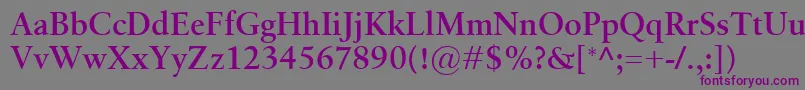 Шрифт BirkaSemibold – фиолетовые шрифты на сером фоне