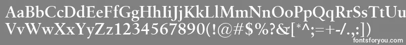 フォントBirkaSemibold – 灰色の背景に白い文字