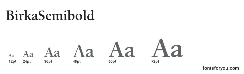 Размеры шрифта BirkaSemibold