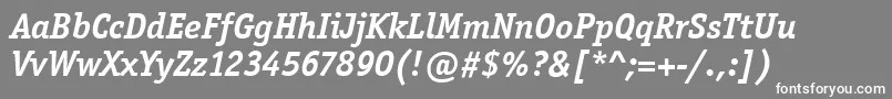 OfficinaSerifItcBoldItalic Font – White Fonts on Gray Background