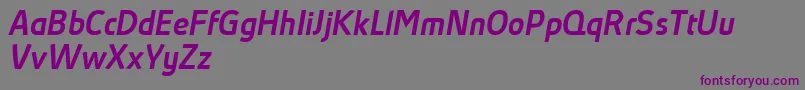 AbsolutProMediumItalicReduced-Schriftart – Violette Schriften auf grauem Hintergrund