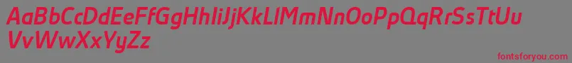 フォントAbsolutProMediumItalicReduced – 赤い文字の灰色の背景