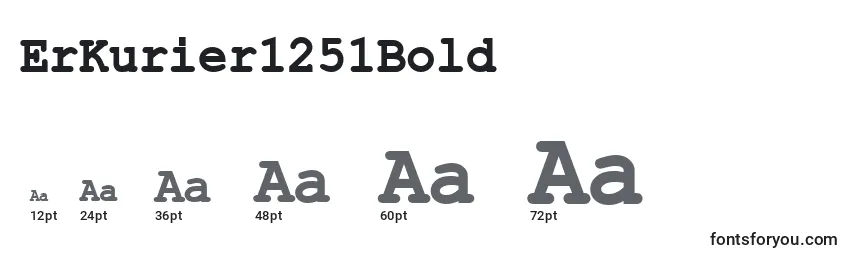 ErKurier1251Bold Font Sizes