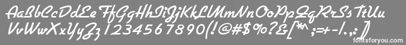 フォントDiner – 灰色の背景に白い文字