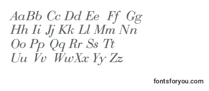 RothniNormalItalic フォントのレビュー