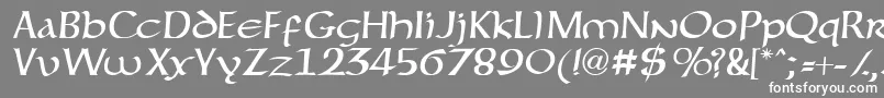 Forgottenuncial Font – White Fonts on Gray Background