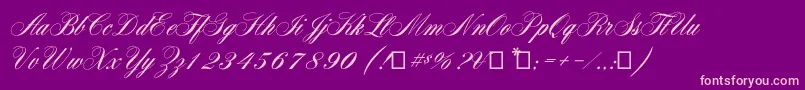 Aerolitescriptcp2 Font – Pink Fonts on Purple Background