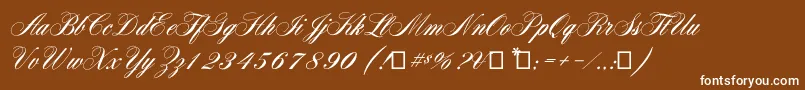 Aerolitescriptcp2-Schriftart – Weiße Schriften auf braunem Hintergrund