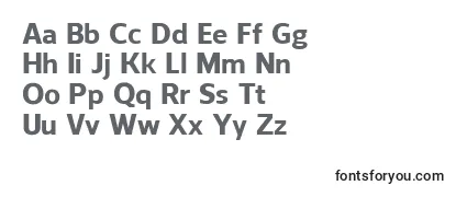 ReganExtrabold Font