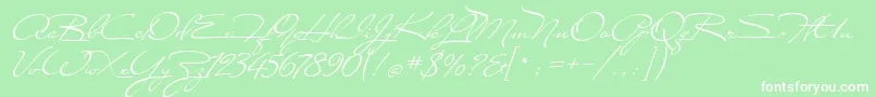 Carolina Font – White Fonts on Green Background