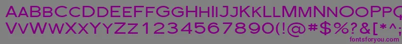 Florsn29 Font – Purple Fonts on Gray Background
