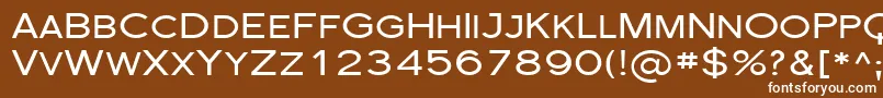 Florsn29 Font – White Fonts on Brown Background