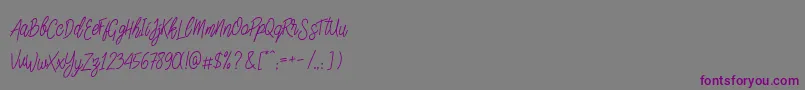 フォントSlainteScriptDemo – 紫色のフォント、灰色の背景