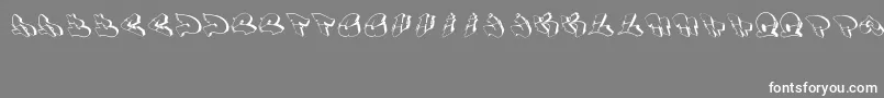 Row Font – White Fonts on Gray Background