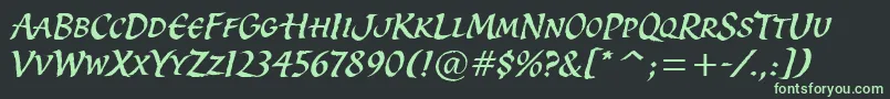SpiritItcTt Font – Green Fonts on Black Background