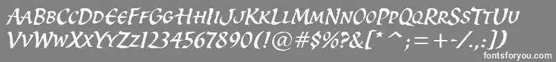 SpiritItcTt Font – White Fonts on Gray Background