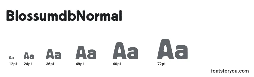 sizes of blossumdbnormal font, blossumdbnormal sizes