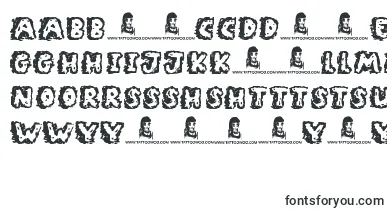 RockyBottoms font – hausa Fonts