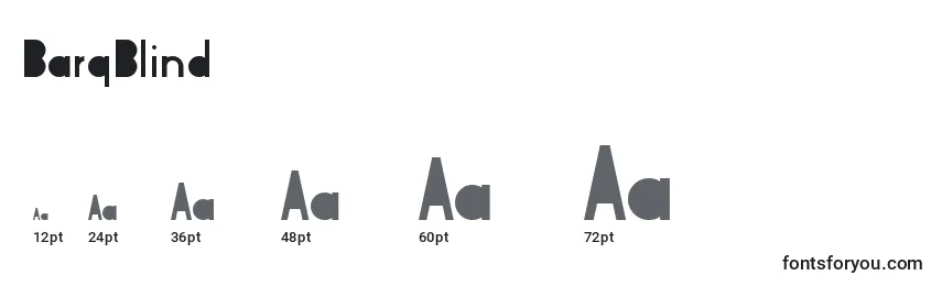Размеры шрифта BarqBlind