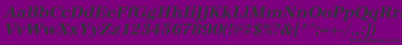 AntiquastdBolditalic Font – Black Fonts on Purple Background