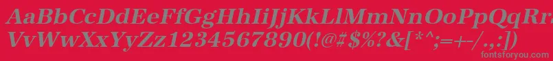 AntiquastdBolditalic Font – Gray Fonts on Red Background