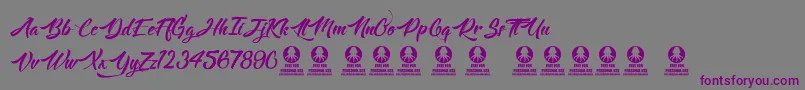 Langoustine Font – Purple Fonts on Gray Background