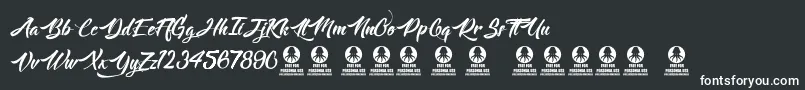 Langoustine Font – White Fonts on Black Background