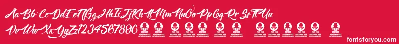 Langoustine Font – White Fonts on Red Background