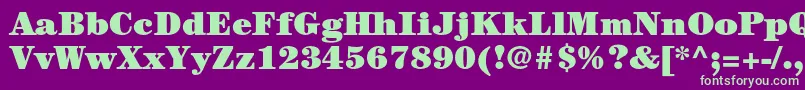 CenturystdUltra Font – Green Fonts on Purple Background