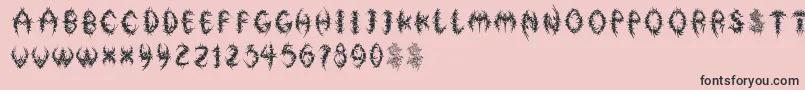 FloralphabetBold Font – Black Fonts on Pink Background