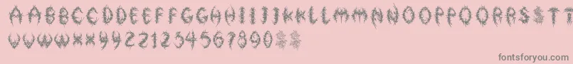 FloralphabetBold Font – Gray Fonts on Pink Background